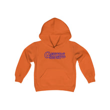 Load image into Gallery viewer, Gators Basketball 001 Youth Hoodie