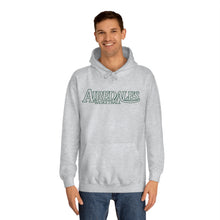 Load image into Gallery viewer, Airedales Basketball 001 Unisex Adult Hoodie