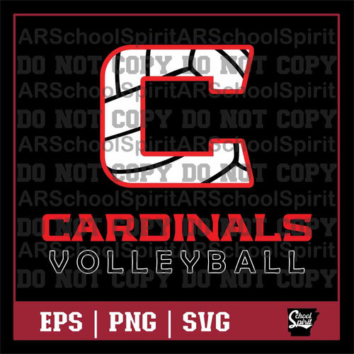Cardinals Volleyball 002