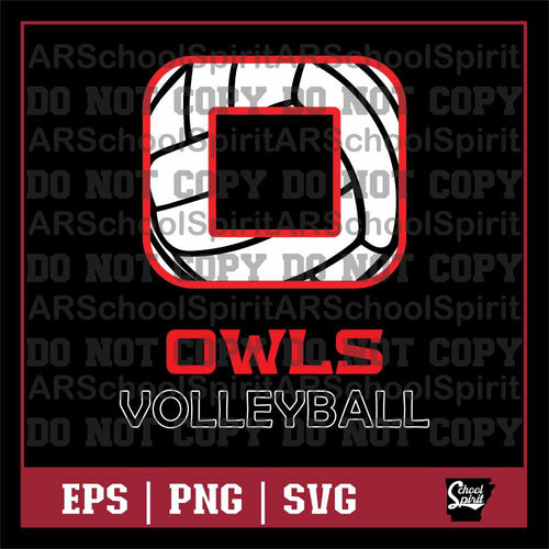 Owls Volleyball 002