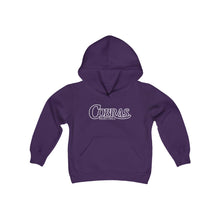Load image into Gallery viewer, Cobras Basketball 001 Youth Hoodie